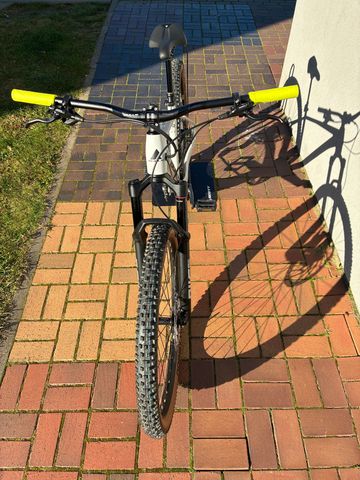 Used BULLS Duro 29 2023 2023 Mountainbike, Light Gray, 29 — image 6 of 11