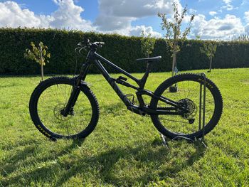 Used Canyon Torque 29 CF 7 2023 2023 Mountainbike, Black, 29 — image 9 of 9