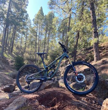 Used Saracen Ariel 2021 MTB