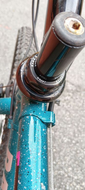 Used Raleigh Technium 1993 Mountainbike, Green — image 11 of 12