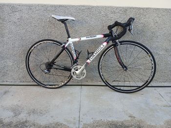 Used Formigli Thunder 2017 Road & Gravel