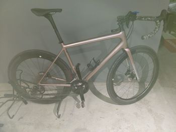 Used Specialized Rosa 2023 Tg 56 2023 Road & Gravel
