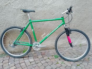 Used Specialized Stumpjumper M2 FS 1997 1997 MTB