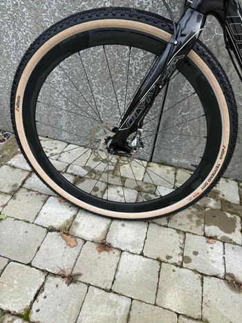 Used Olympia Ego-X 2018 Road & Gravel, Black — image 4 of 4