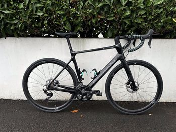 Used Bianchi Infinito XE 105 2024 2024 Road & Gravel