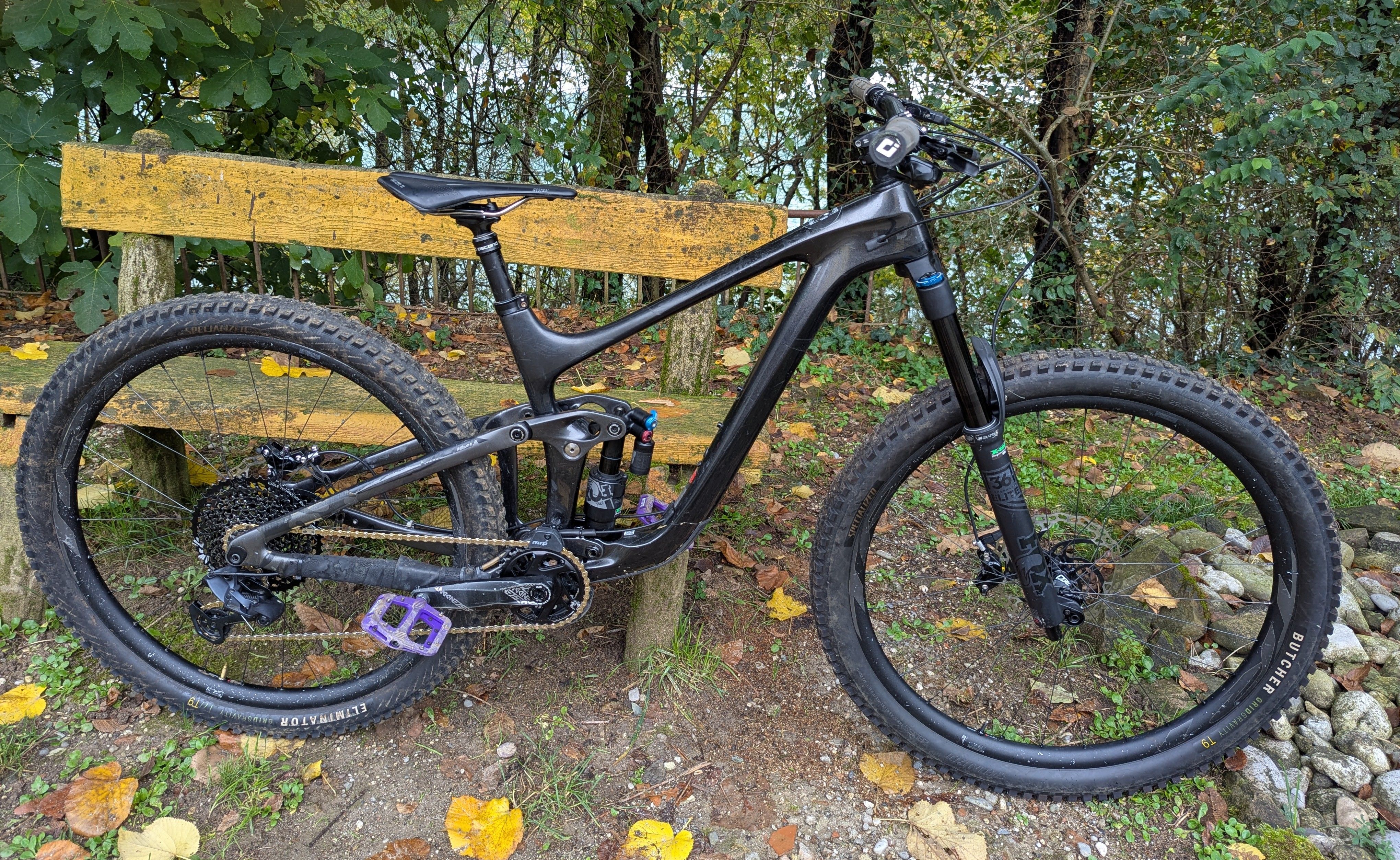 Giant Reign Advanced, Pro 29 2020 2020