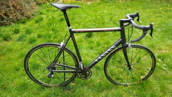 Canyon, Ultimate CF 8.0i (Sonderaufbau)