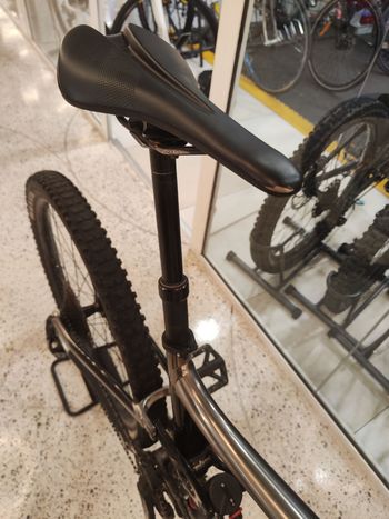 Used Giant Reign 29 2 2020 2020 Mountainbike, Light Gray, 29 — image 7 of 7
