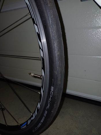 Used Focus Cayo 2016 Road & Gravel, White — image 12 of 13