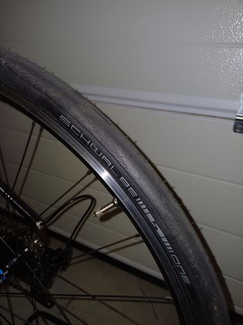 Used Focus Cayo 2016 Road & Gravel, White — image 11 of 13