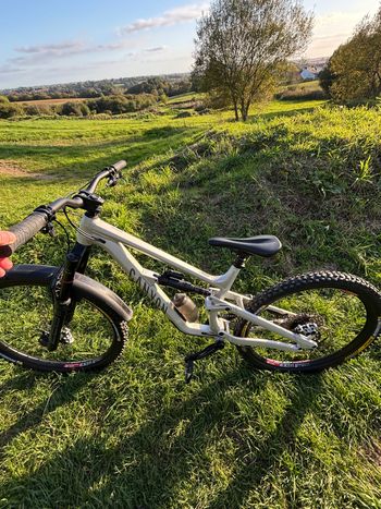 Used Canyon Torque Shimano Deore XT 2023 Mountainbike, Light Gray, Mixed — image 3 of 4