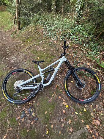 Used Canyon Torque Shimano Deore XT 2023 Mountainbike, Light Gray, Mixed — image 2 of 4