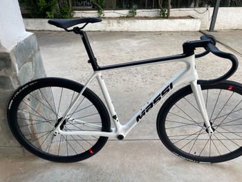 Used Massi Team Race 2024 Frameset 2024 Road & Gravel