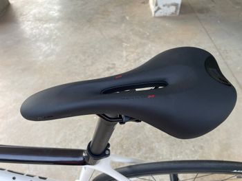 Used Massi Team Race 2024 Frameset 2024 Road & Gravel, White — image 4 of 9