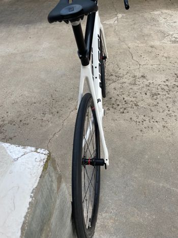 Used Massi Team Race 2024 Frameset 2024 Road & Gravel, White — image 8 of 9