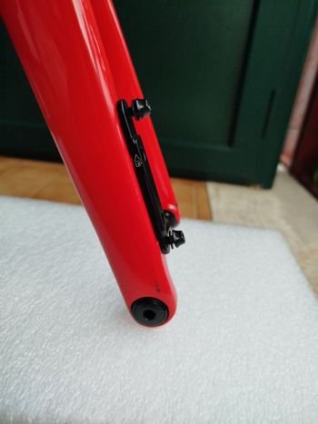 Used BMC Teammachine SLR 01 MOD 2023 Frameset 2023 Road & Gravel, Red — image 5 of 8