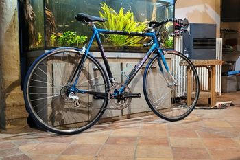 Used Giant Cadex CFR2 1994 Road & Gravel