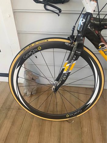 Used Quintana Roo Caliente 2006 Road & Gravel, Black — image 3 of 6