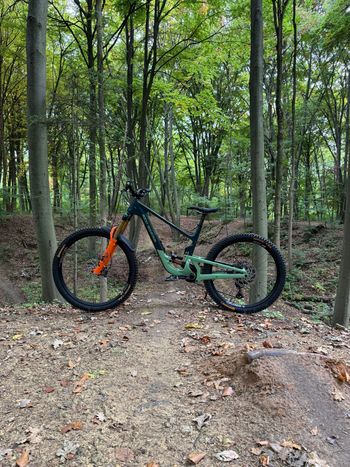 Used Rocky Mountain Altitude C50 Shimano 2024 2024 MTB