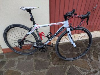 Used Viner Magnifica 2020 Road & Gravel