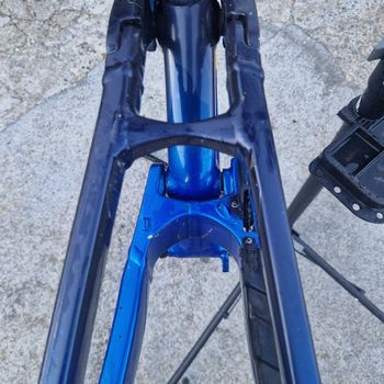 Used Trek Session 9 X01 2022 Frameset 2022 Mountainbike, Blue, 29 — image 4 of 6