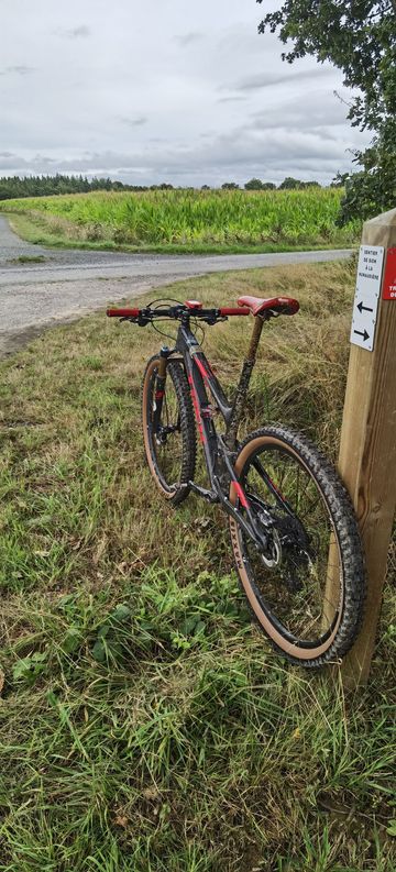 Gebrauchtes Trek Top Fuel 9.9 SL 2016 2016 Mountainbike, Schwarz, 29 — Bild 3 von 3