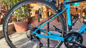 Used Bottecchia Avio 2020 Road & Gravel, Blue — image 2 of 4