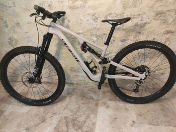 Used Specialized Stumpjumper EVO Comp 2021 2021 Mountainbike, Light Gray, 29 — image 2 of 3