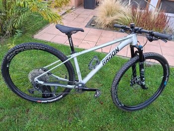Used Radon JEALOUS AL 10.0 2022 2022 MTB