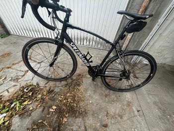 Used Specialized Secteur Expert Disc 2014 2014 Road & Gravel, Black — image 5 of 5