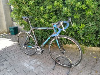 Used Daccordi Grinta 2007 Road & Gravel, Black — image 10 of 10