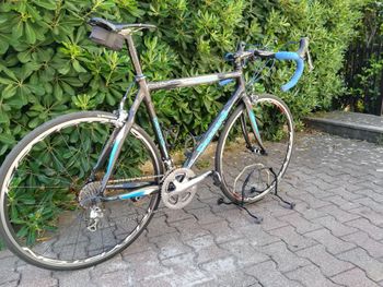 Used Daccordi Grinta 2007 Road & Gravel