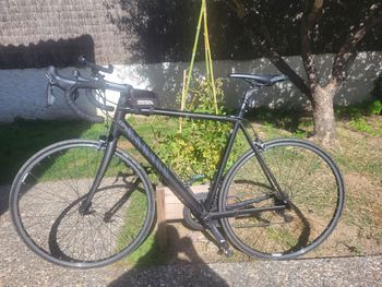Used Canyon Ultimate AL 9.0 2013 2013 Road & Gravel
