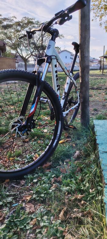 Used Trek Marlin 6 2015 2015 Mountainbike, White, 27.5, 29 — image 6 of 8