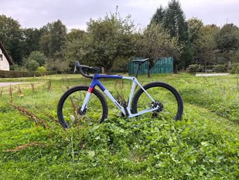 Used Trek Checkmate SLR 8 2024 Road & Gravel, Blue — image 2 of 3
