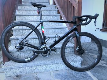 Used Colnago C68 Disc Daytona Pro Bike 2023 Frameset 2023 Road & Gravel