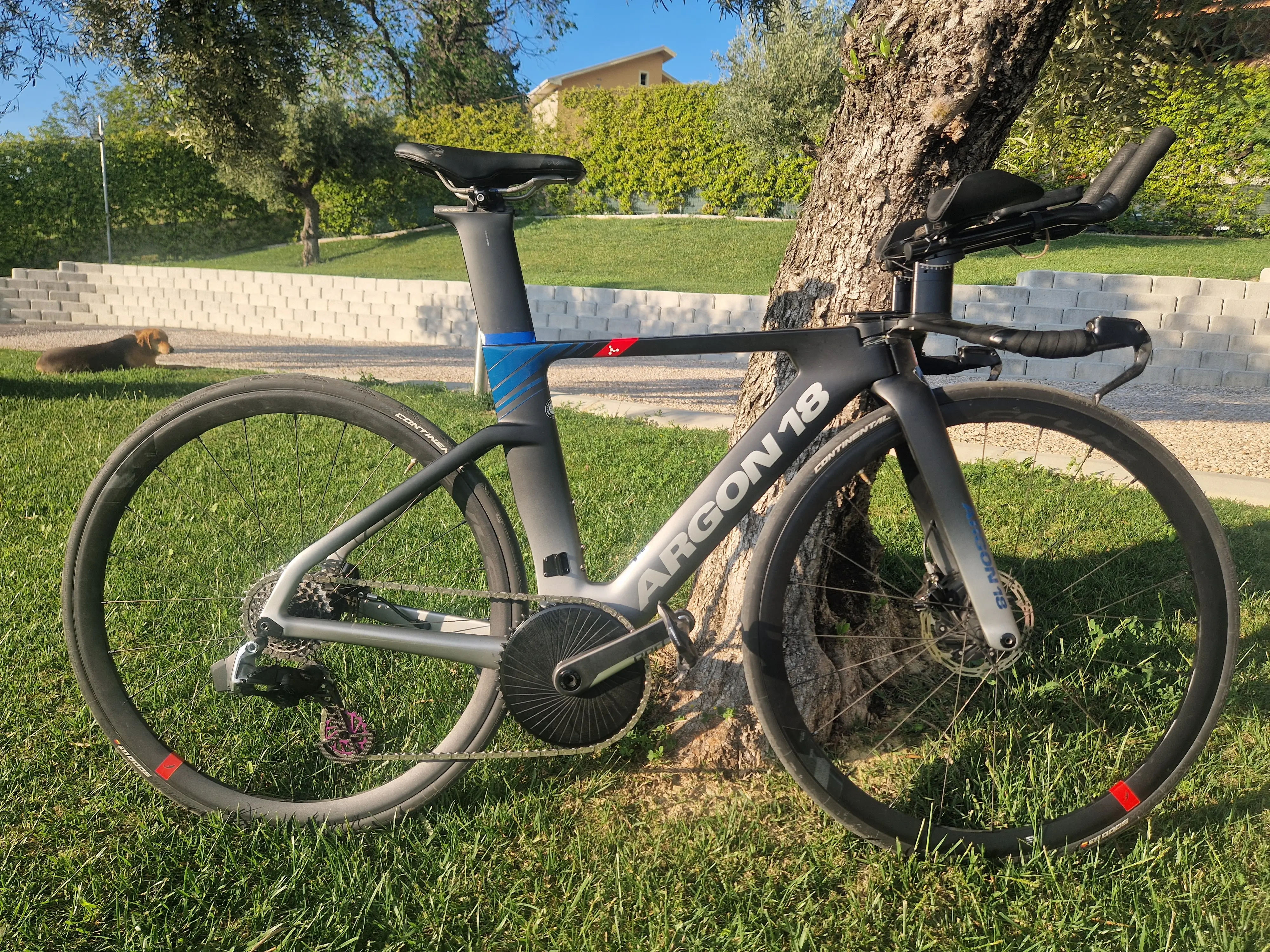 Argon 18 E 118 Tri used in XS buycycle USA