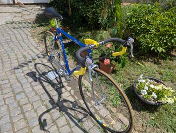 Used Somec Speciale Lugo Di Romagna 1999 Road & Gravel, Blue — image 2 of 6