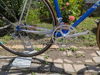 Used Somec Speciale Lugo Di Romagna 1999 Road & Gravel, Blue — image 3 of 6