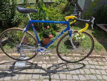 Used Somec Speciale Lugo Di Romagna 1999 Road & Gravel