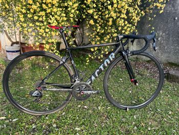 Used Factor VAM 2022 Road & Gravel