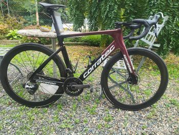 Used Corratec CCT EVO Factory 2023 2023 Road & Gravel