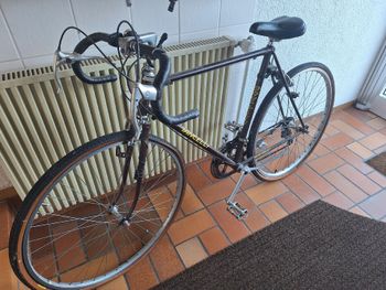 Used Dancelli 1978 Bis 1982 Vintage 1980 Road & Gravel