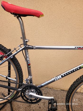 SUNN 4003R 1993 Mountainbike d'occasion — image 3 sur 9