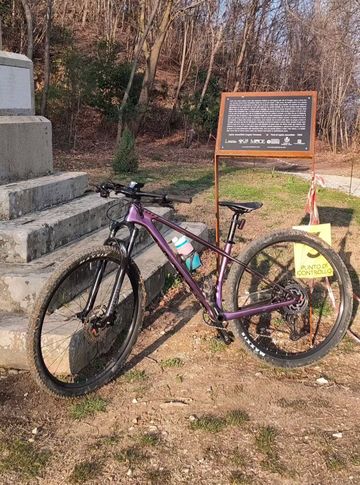 Used Scott Contessa Scale 920 2022 2022 Mountainbike, Purple, 29 — image 4 of 10