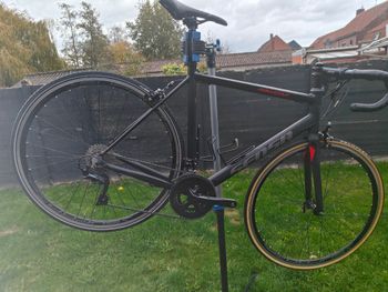 Used Sensa Romagna SLE 2022 2022 Road & Gravel