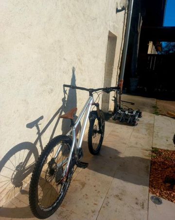 Used Dartmoor Hornet 2017 Mountainbike, Light Gray — image 2 of 7