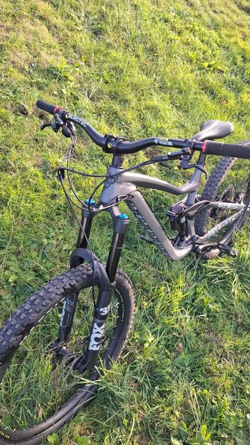 Used Dartmoor Thunderbird Superenduro 2025 Mountainbike, Light Gray — image 3 of 7