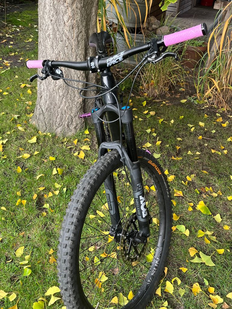 Used Canyon Strive CF 2019 Mountainbike, Black — image 3 of 11
