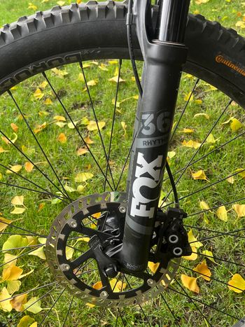 Used Canyon Strive CF 2019 Mountainbike, Black — image 9 of 11